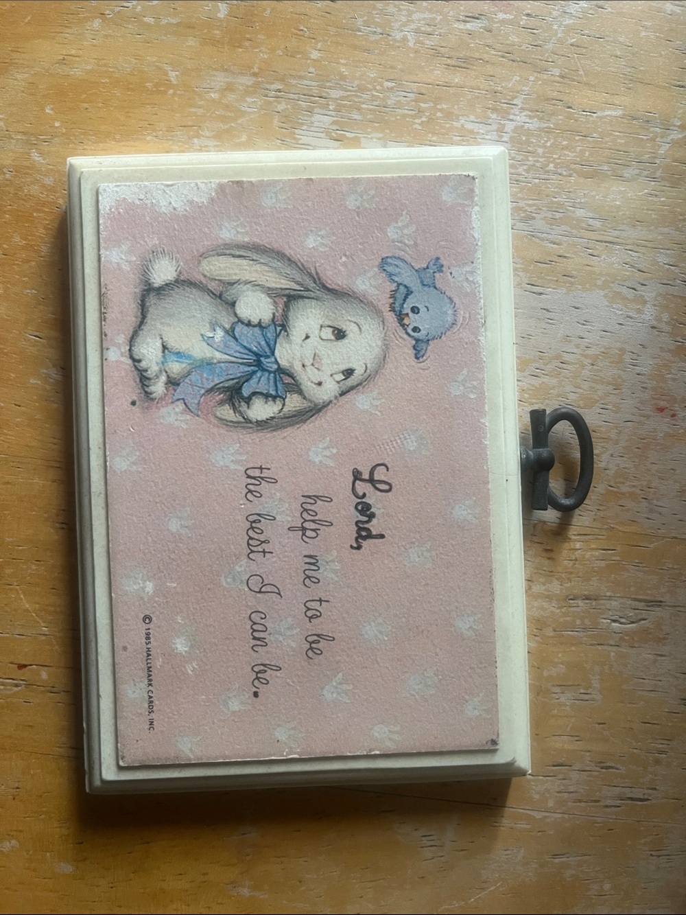 Cute Pink Bunny small plaque